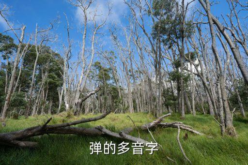 彈的多音字