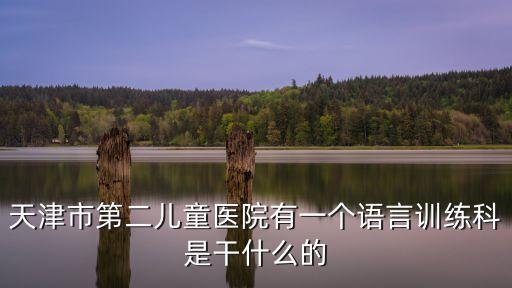 天津市兒童醫(yī)院語(yǔ)言矯正，孩子發(fā)音不對(duì)天津有可以進(jìn)行矯正的機(jī)構(gòu)么