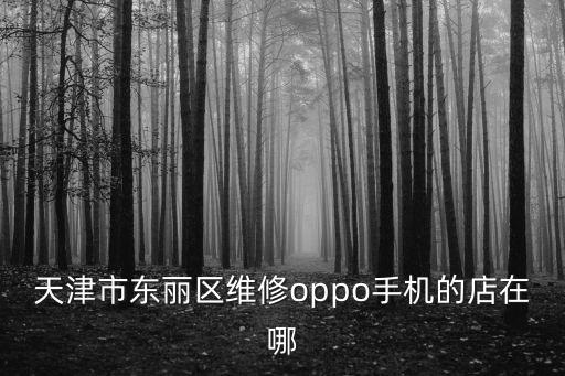 天津市東麗區(qū)大廟子村，天津市東麗區(qū)哪個(gè)村好