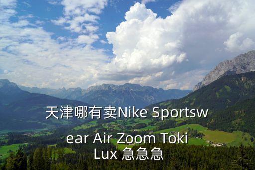 天津哪有賣Nike Sportswear Air Zoom Toki Lux 急急急