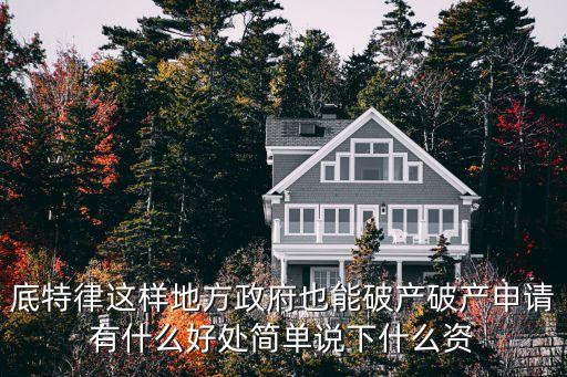 底特律這樣地方政府也能破產破產申請有什么好處簡單說下什么資