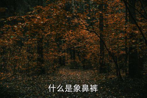 犢鼻褲，什么是象鼻褲