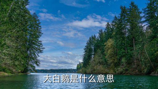 大白鵝是什么意思
