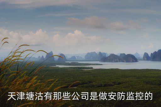 天津市塘沽區(qū)有哪些監(jiān)控公司，天津塘沽有那些公司是做安防監(jiān)控的
