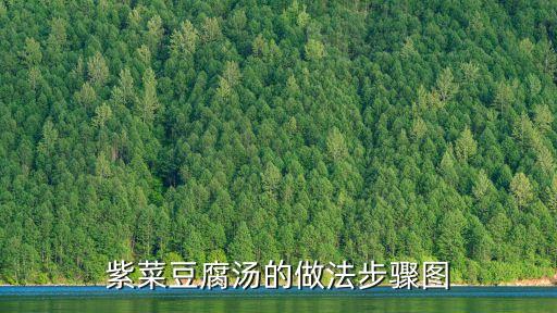 紫菜豆腐湯的做法步驟圖