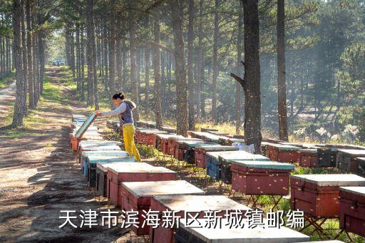 天津市濱海新區新城鎮郵編