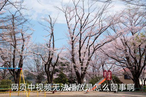 網(wǎng)頁中視頻無法播放是怎么回事啊