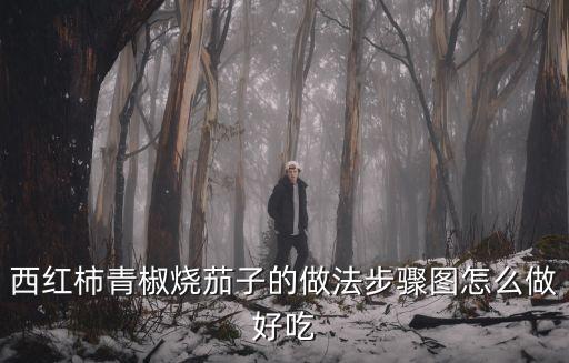 青椒燒茄子，西紅柿青椒燒茄子的做法步驟圖怎么做好吃