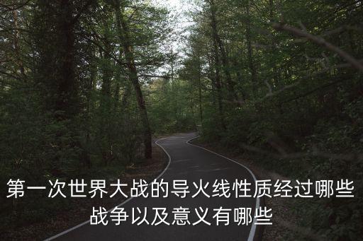 第一次世界大戰的導火線性質經過哪些戰爭以及意義有哪些
