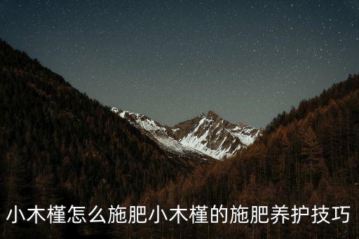 小木槿的養殖方法和注意事項，小木槿怎么施肥小木槿的施肥養護技巧