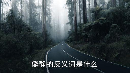 僻靜的反義詞是什么