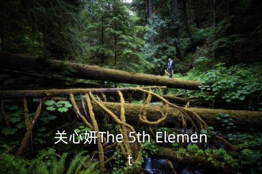 關(guān)心妍The 5th Element