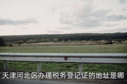天津河北區辦理稅務登記證的地址是哪