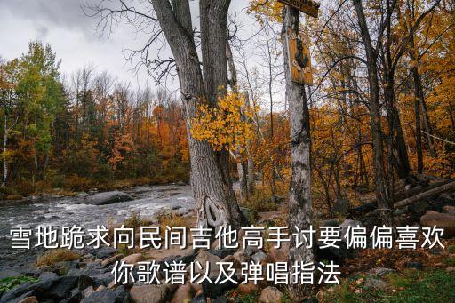 雪地跪求向民間吉他高手討要偏偏喜歡你歌譜以及彈唱指法