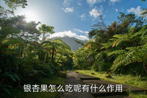 銀杏果，銀杏的果實