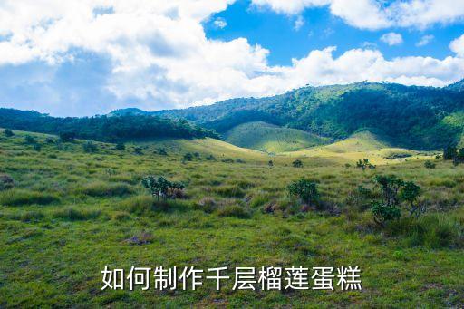 榴蓮千層蛋糕，榴蓮干怎么做千層蛋糕