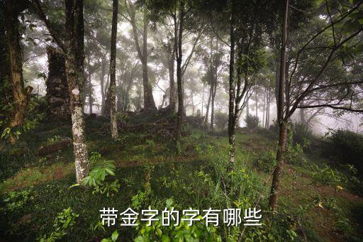 帶金字的字有哪些