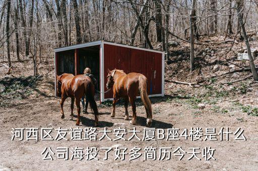 河西區(qū)友誼路大安大廈B座4樓是什么公司海投了好多簡(jiǎn)歷今天收
