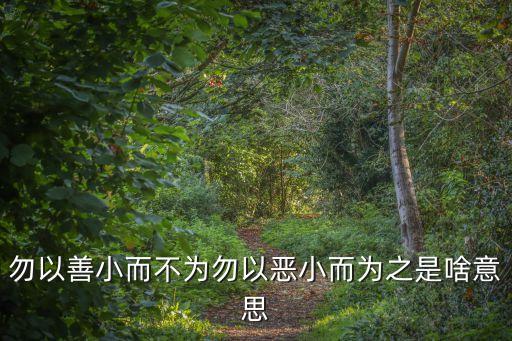 勿以善小而不為勿以惡小而為之是啥意思