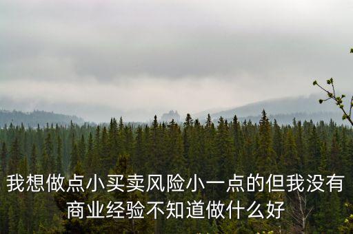 我想做點小買賣風險小一點的但我沒有商業經驗不知道做什么好