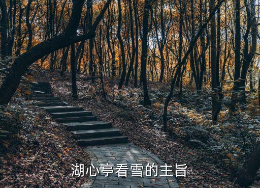 湖心亭看雪主旨，湖心亭看雪的主旨