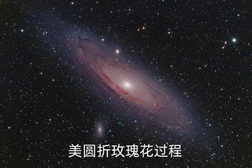 美圓折玫瑰花過程