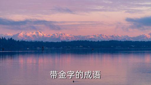 帶金字的成語