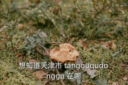 天津市黃桂芳資料，天津市市委辦公廳主任是誰