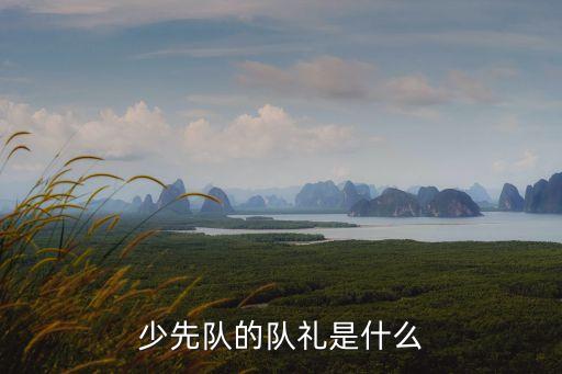 少先隊的隊禮是什么