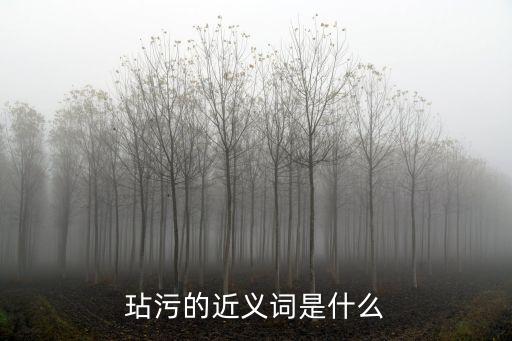 玷污的近義詞是什么