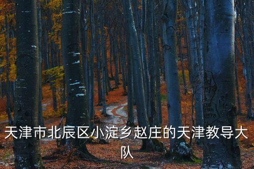 天津市北辰區小淀鄉趙莊的天津教導大隊
