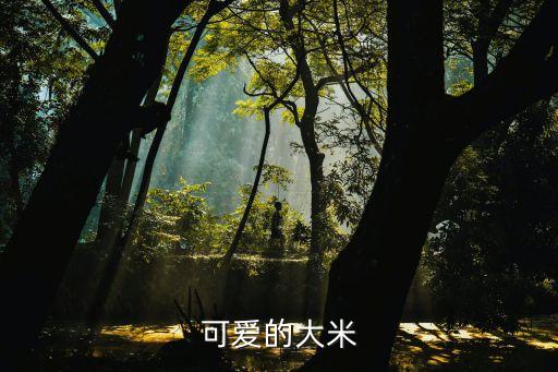 可愛的大米