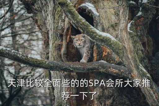 天津比較全面些的的SPA會(huì)所大家推薦一下了