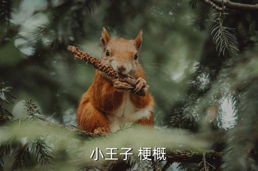 小王子 梗概