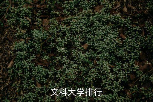 文科大學排行