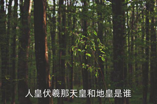 地皇，牌九里面的天皇和地皇是什么樣的