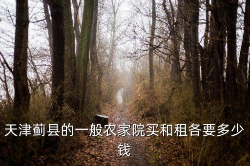 天津薊縣的一般農(nóng)家院買和租各要多少錢