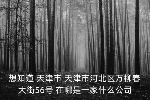 天津市 采油小區(qū)，想知道 天津市 天津市河北區(qū)萬柳春大街56號(hào) 在哪是一家什么公司