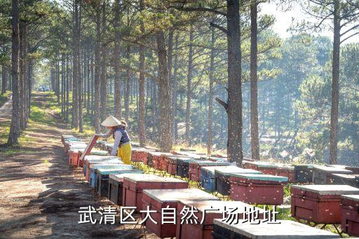 武清區大自然廣場地址