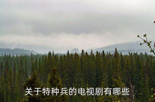 特種兵的電視劇，特種兵電視劇有哪些