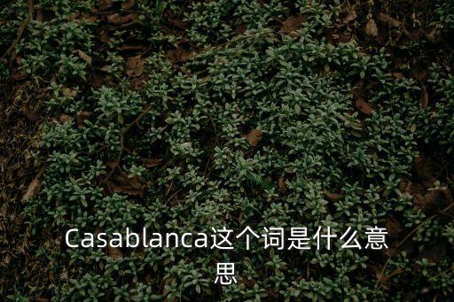 Casablanca這個詞是什么意思