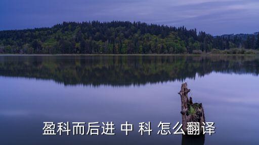 盈科而后進 中 科 怎么翻譯