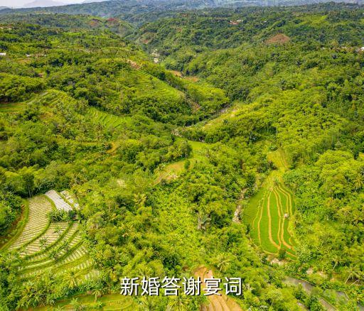新婚答謝宴詞