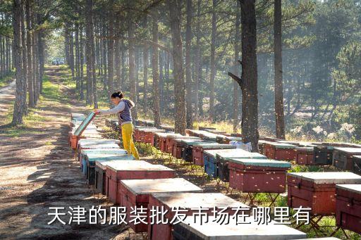 天津市北辰區(qū)服裝城，天津的服裝批發(fā)市場在哪里有