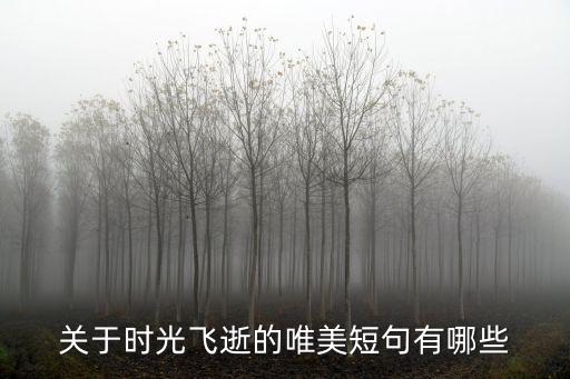 關(guān)于時(shí)光飛逝的唯美短句有哪些