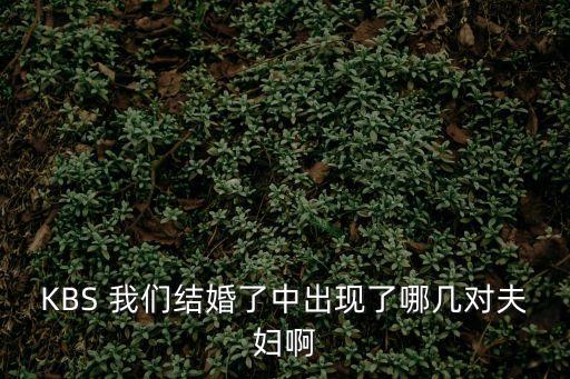 王繼才夫婦，我們結婚了中有哪幾對成功kiss的夫婦