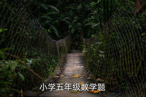小學五年級數(shù)學題