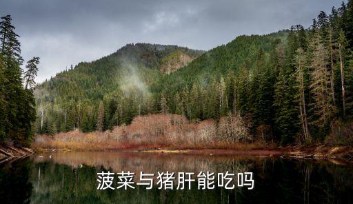 菠菜與豬肝能吃嗎