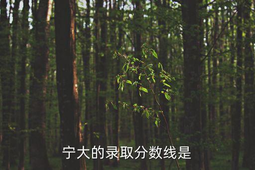 寧大的錄取分數(shù)線是