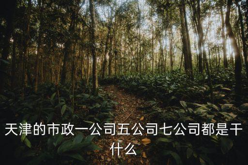 天津市政府服務企業，天津的市政一公司五公司七公司都是干什么
